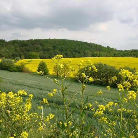 Ferienbauernhof Neumuehle Lägenhet Gappenach Exteriör bild