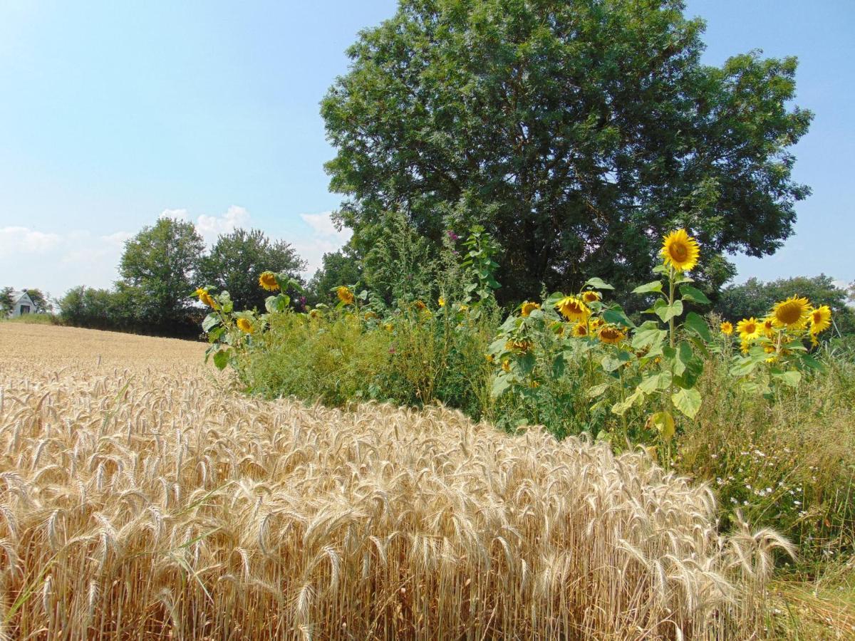 Ferienbauernhof Neumuehle Lägenhet Gappenach Exteriör bild