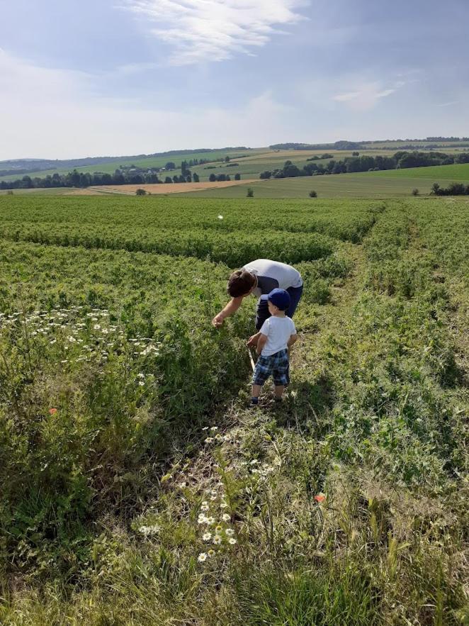 Ferienbauernhof Neumuehle Lägenhet Gappenach Exteriör bild