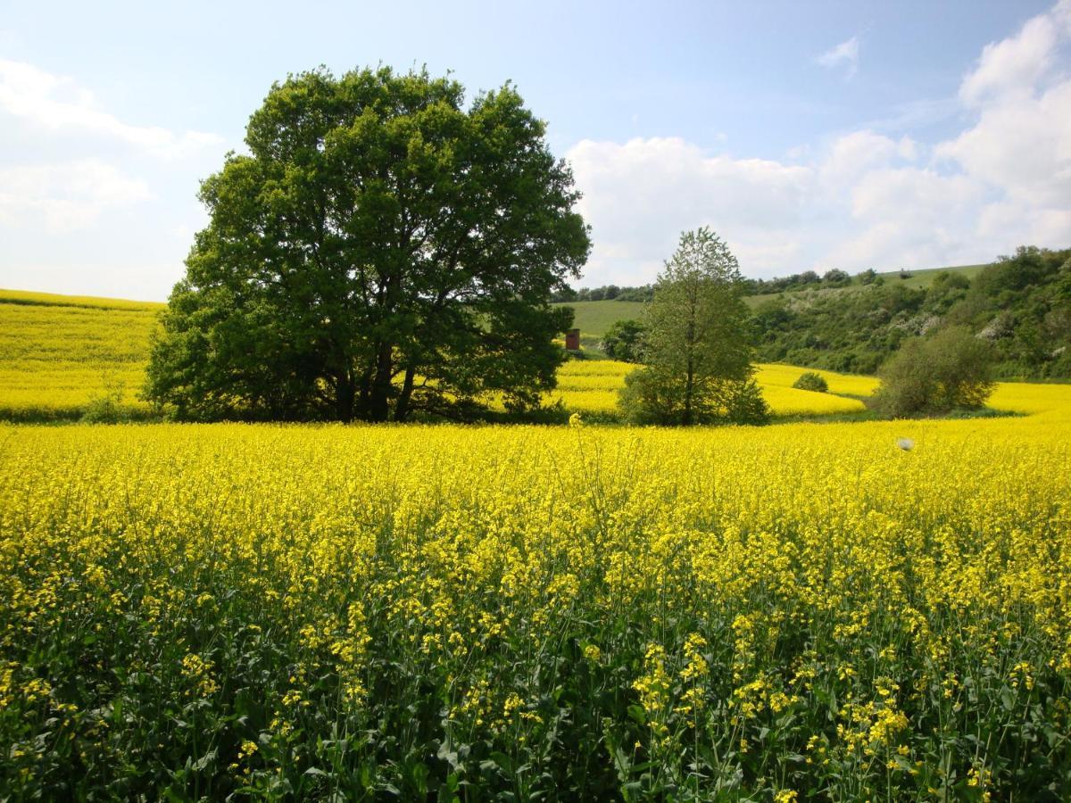 Ferienbauernhof Neumuehle Lägenhet Gappenach Exteriör bild
