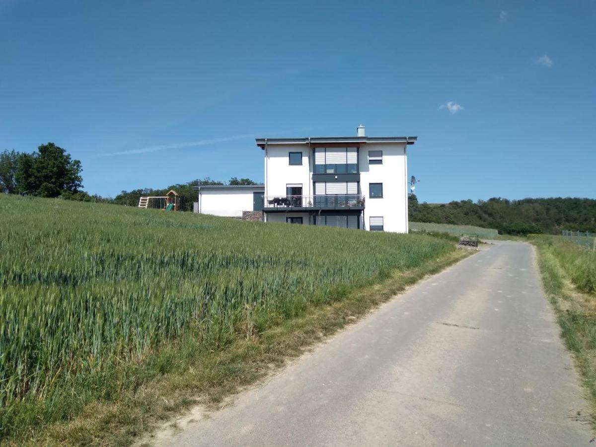 Ferienbauernhof Neumuehle Lägenhet Gappenach Exteriör bild